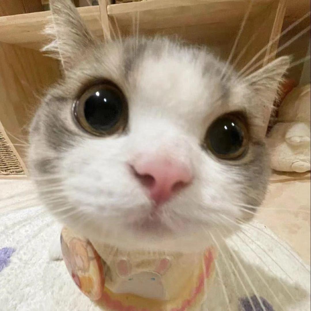 不知名主唱
