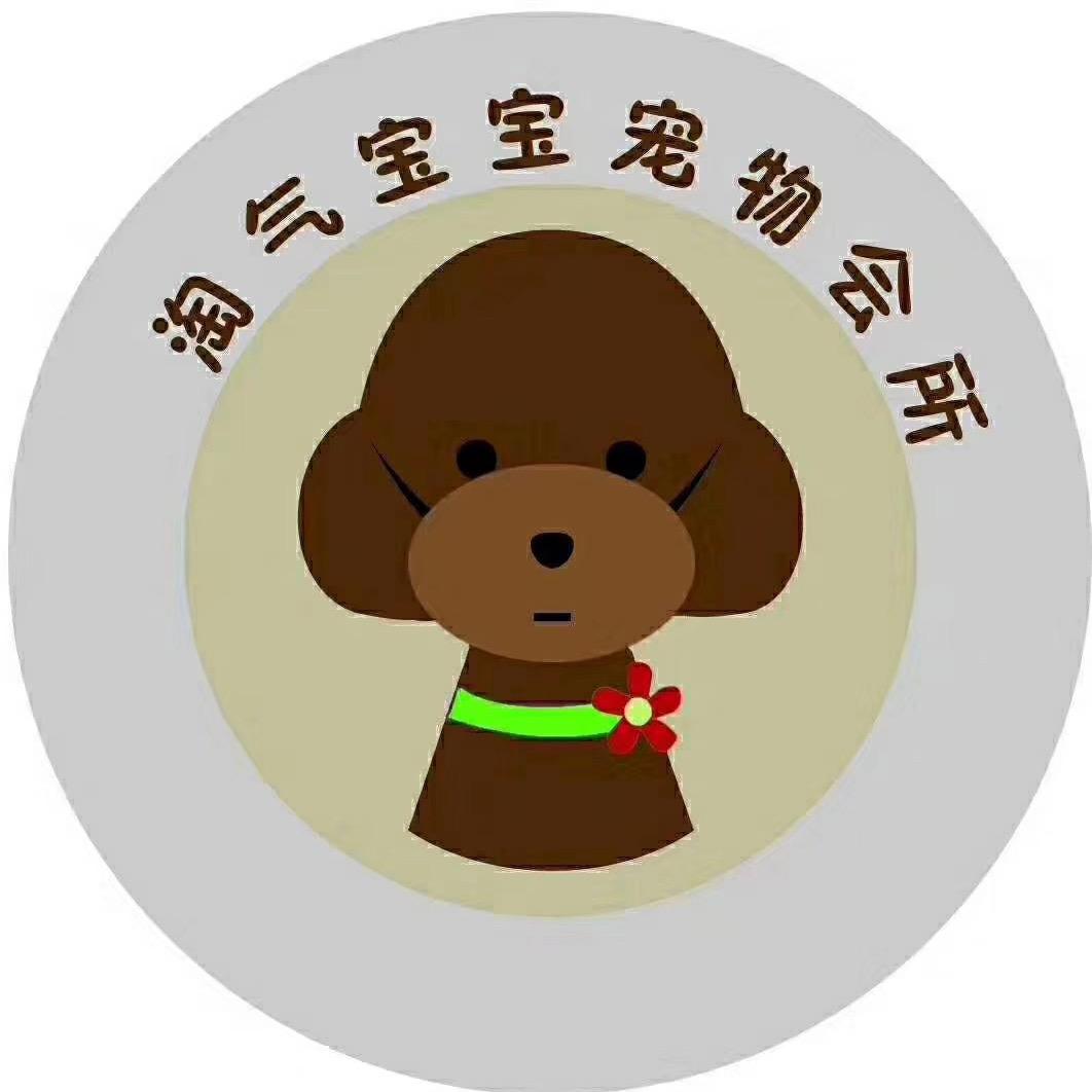 淘气宝宝宠物