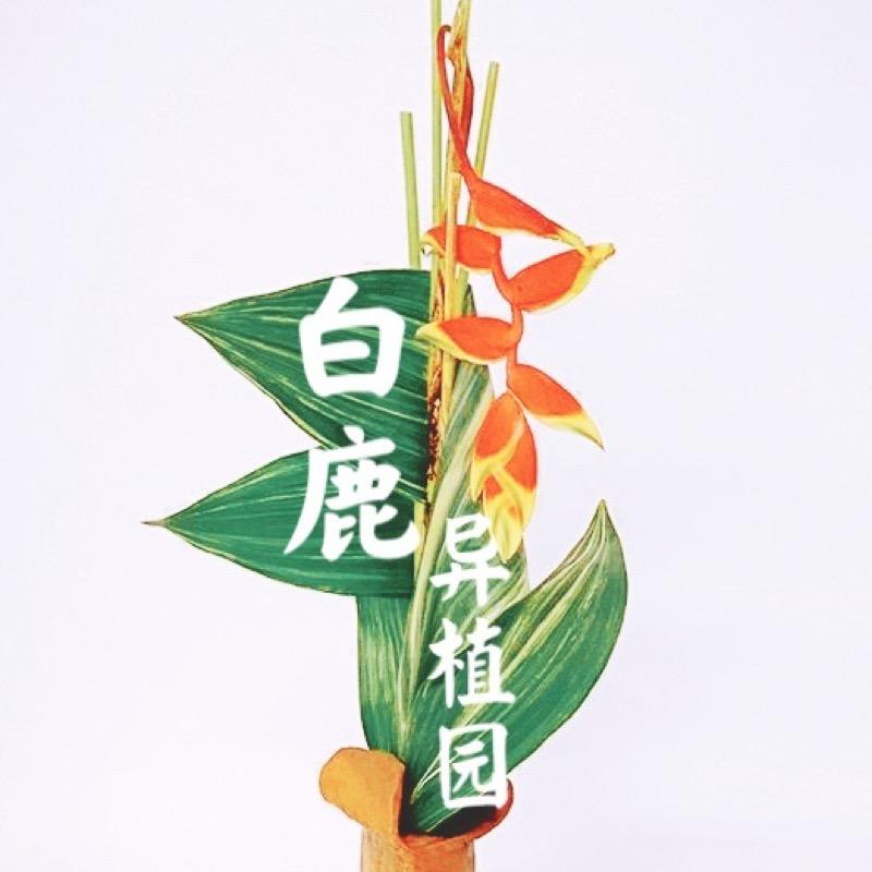 白鹿异植園