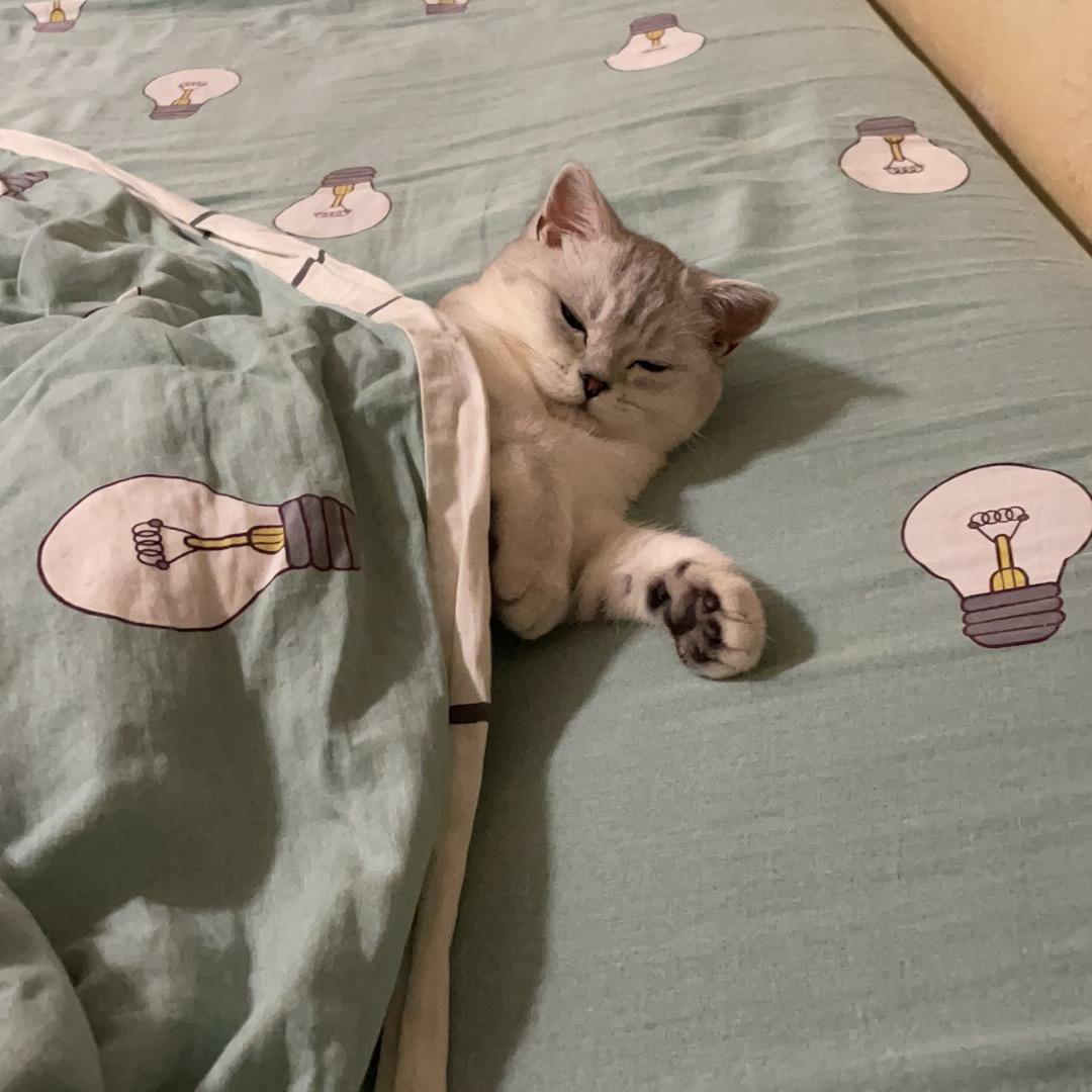 🌈小东想吃糖