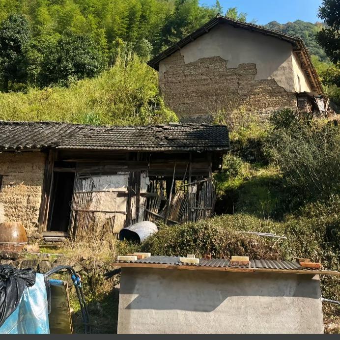 缅妹小英大山寻宝来哦