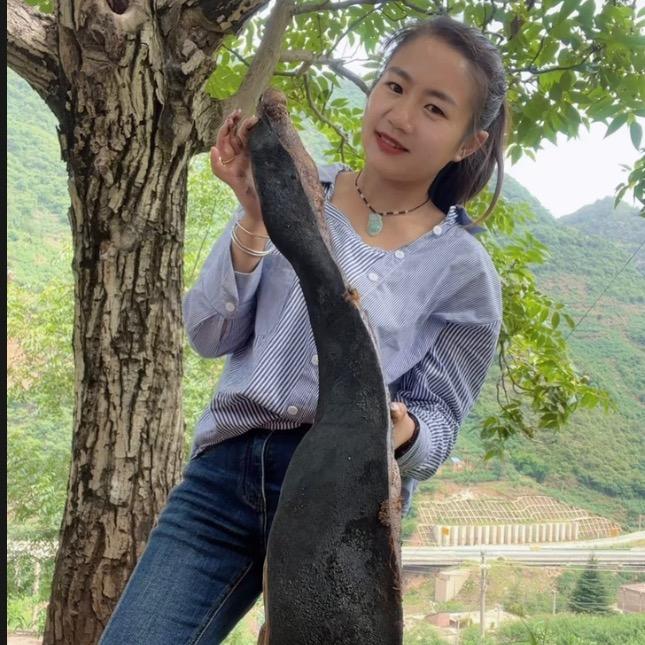 刘小美