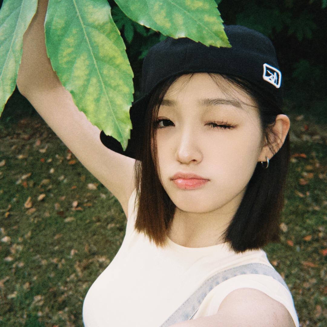 超可爱的大怪兽