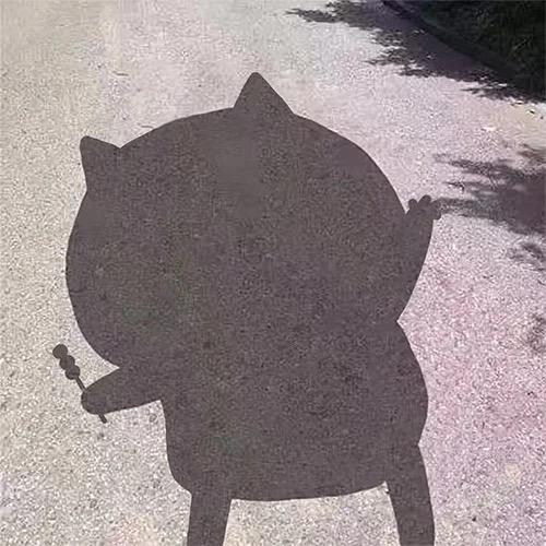 阿猫啊