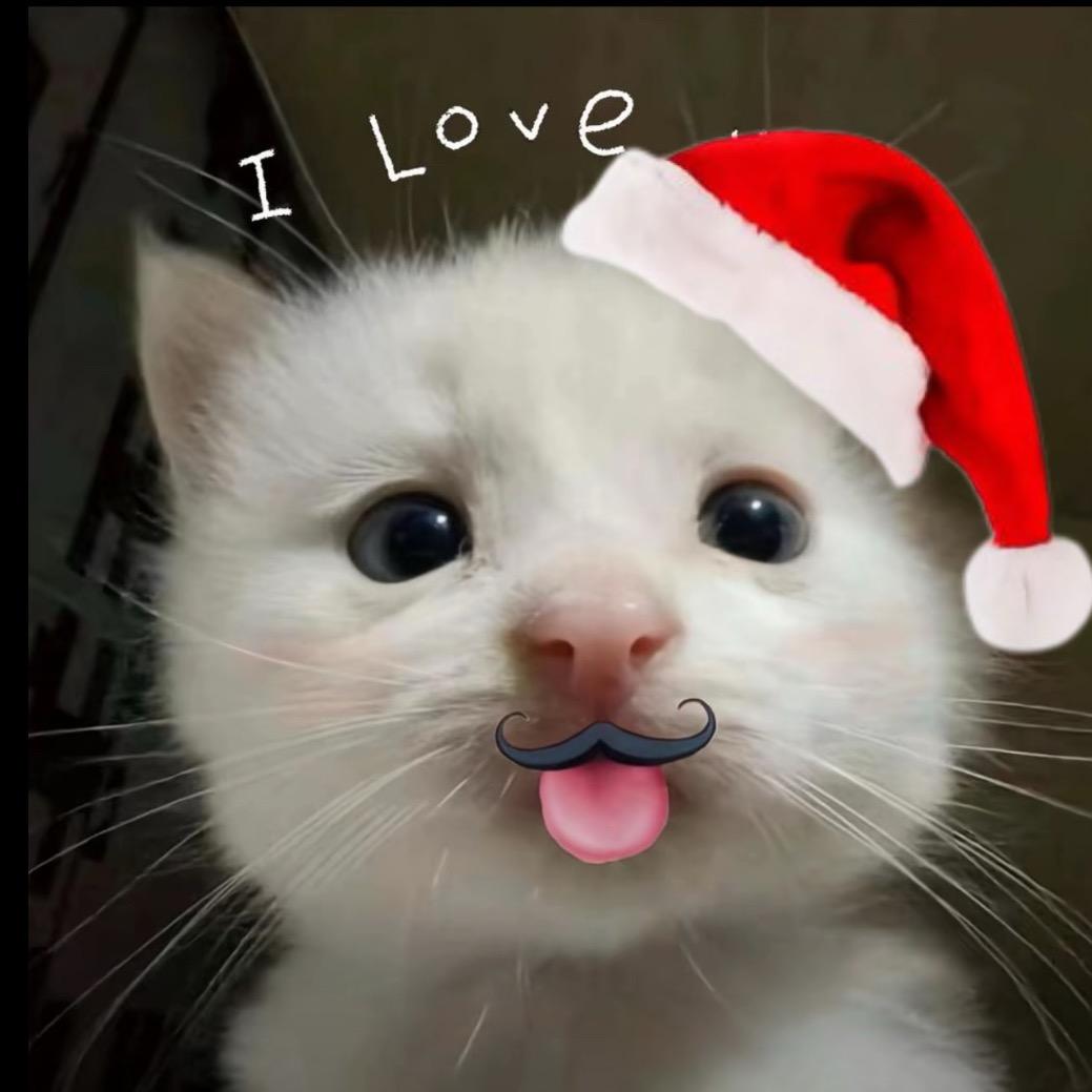 pain endless rest。