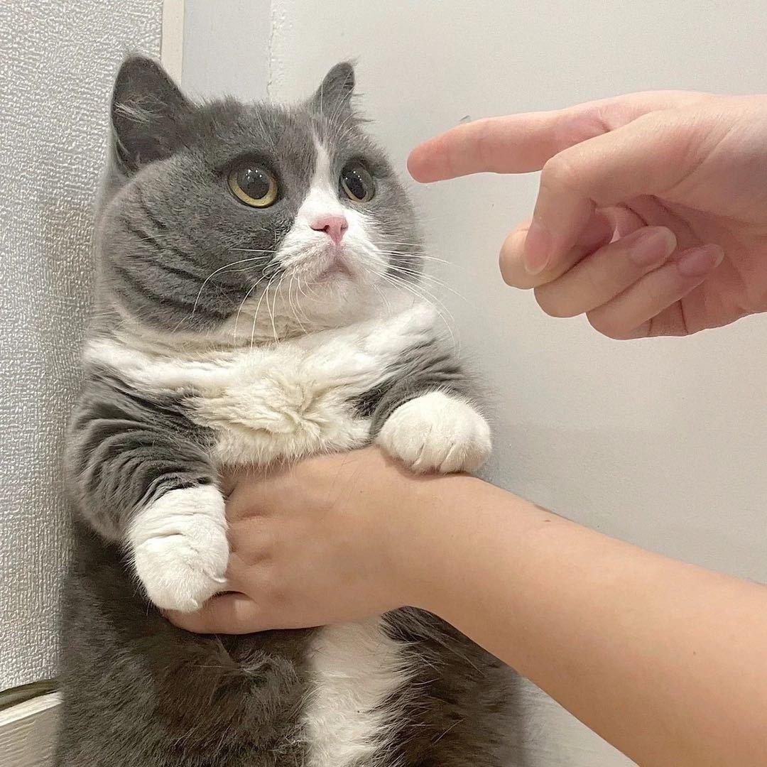 Mr.Evan（小纯同学）