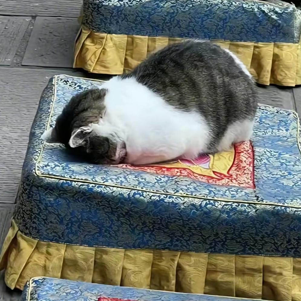 陈没