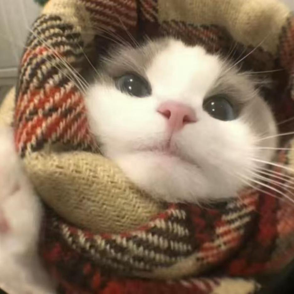 RRRRRRRR.