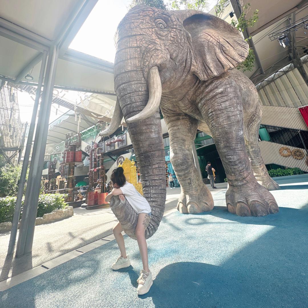 🌈            可可🌸