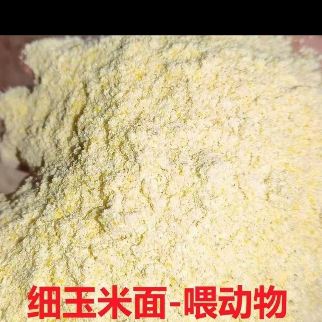 玉米次粉下脚料