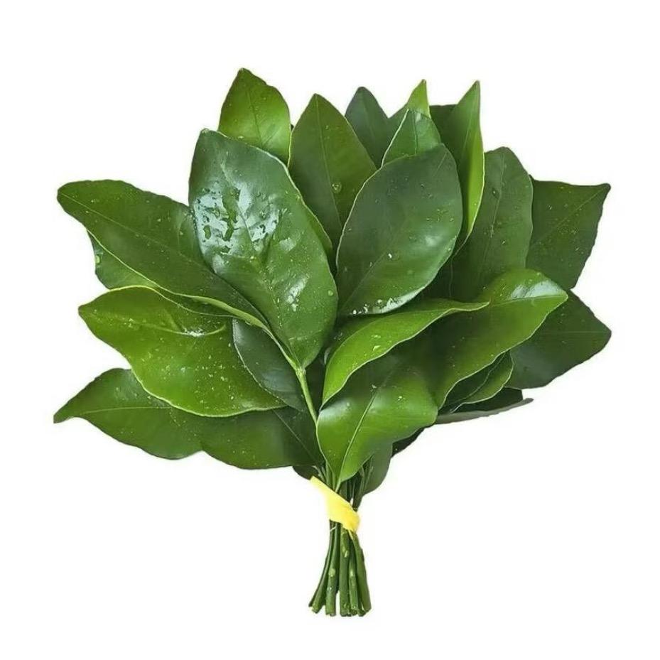 我睡觉的时候不困