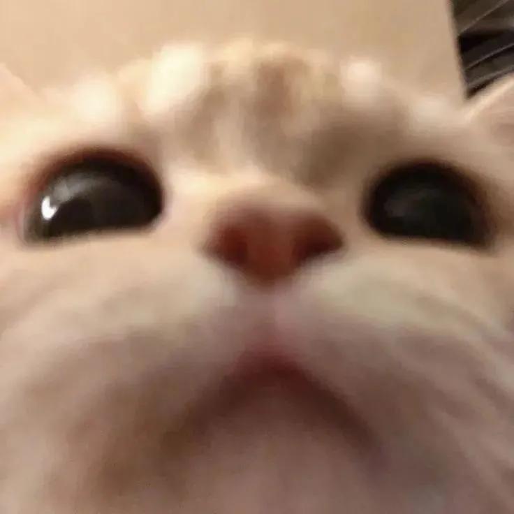 香草冰美式