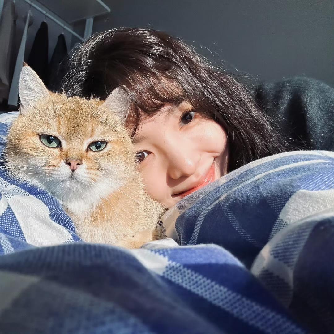 蛋炒饭🍅炒🥚