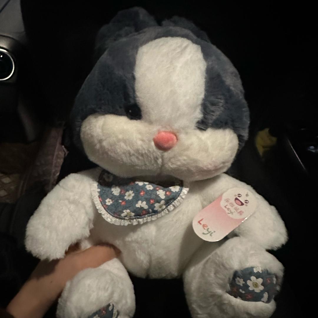 长毛沾屎戳谁谁死