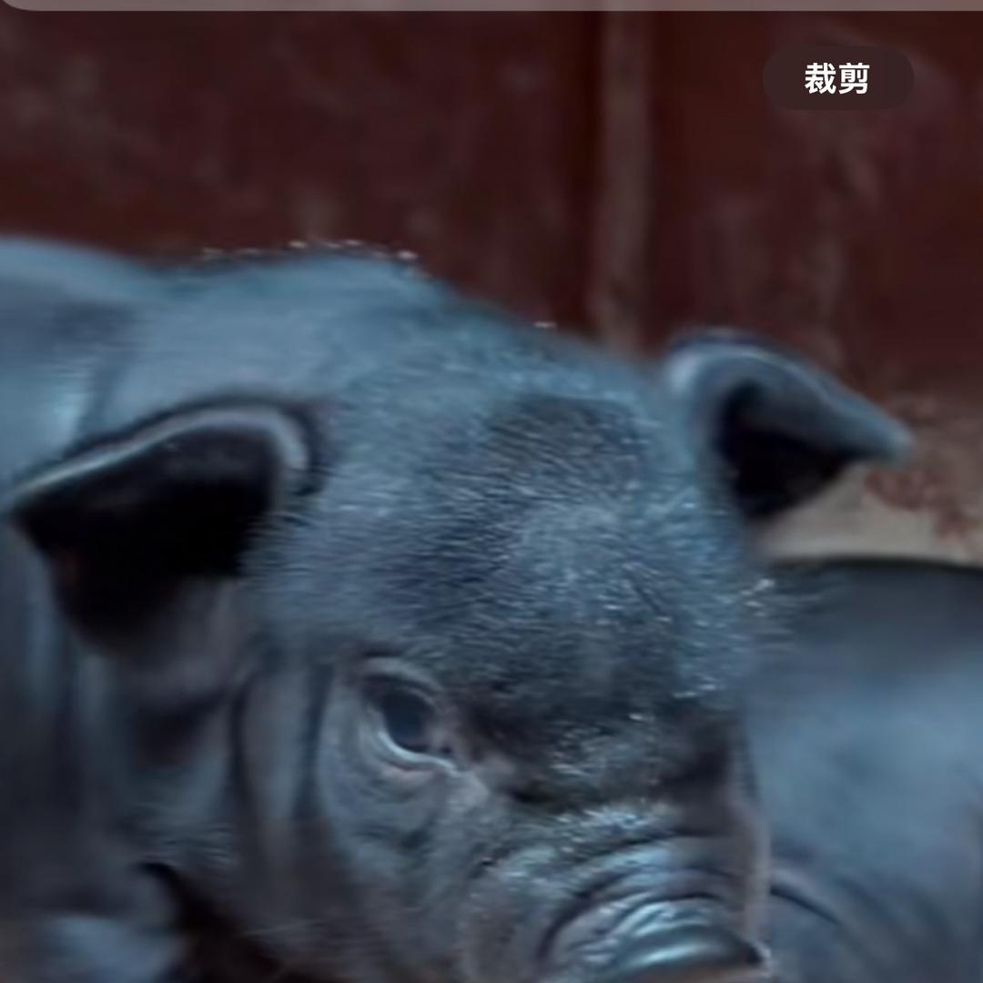 筋斗云生鲜