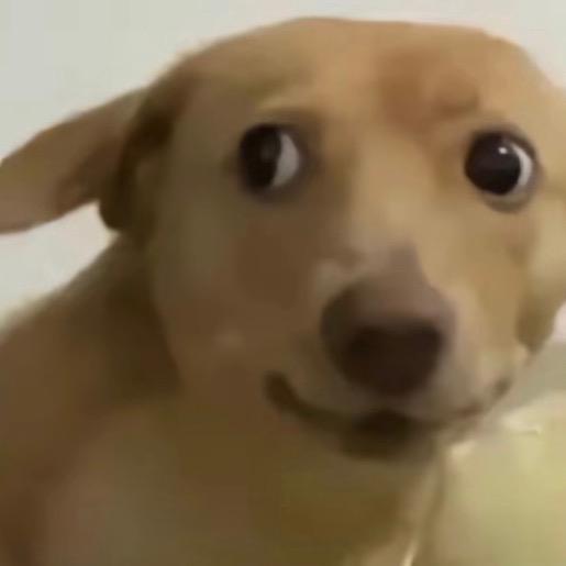 不要打打杀杀