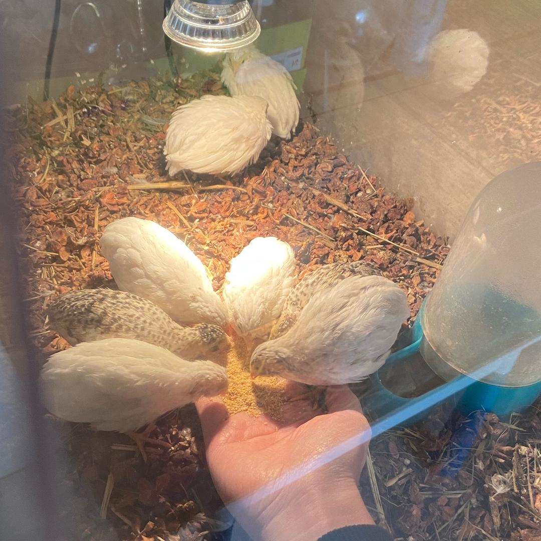 橙贝乐 宁波慈溪