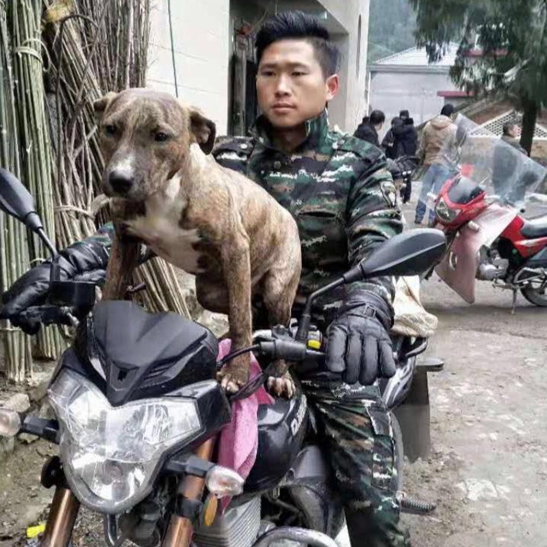 乡村进哥
