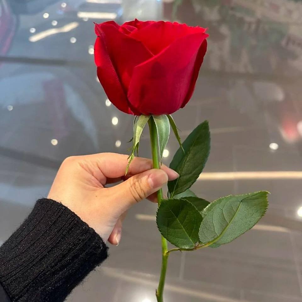 姓江，名就不告诉你