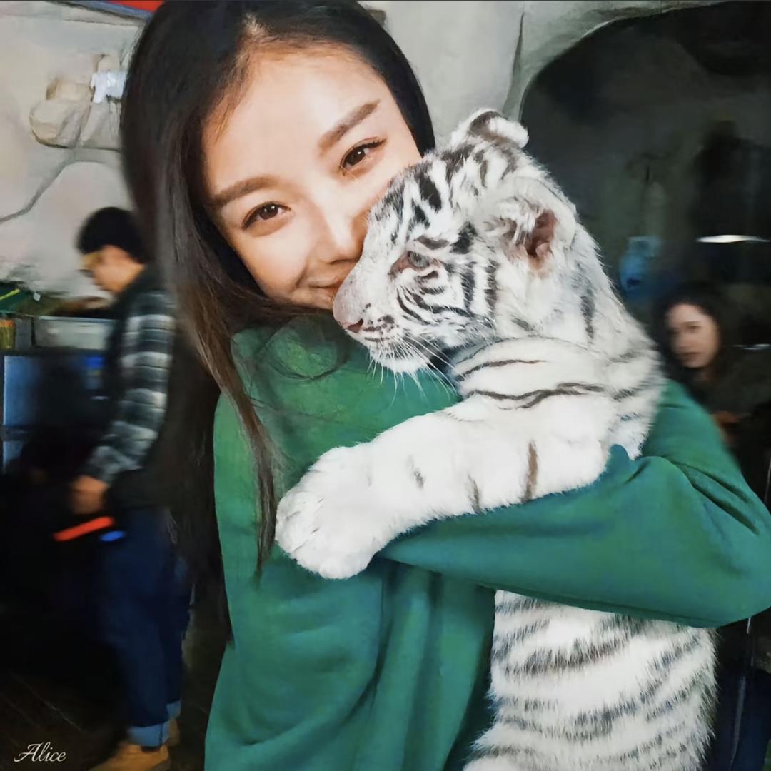 去码头整点棉花糖