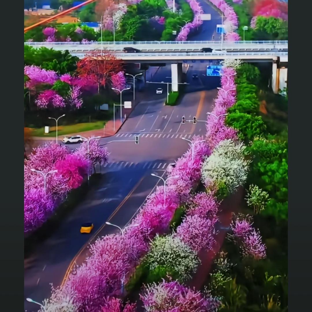 度