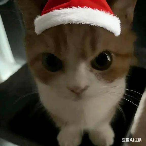 哥的心🈲止访问