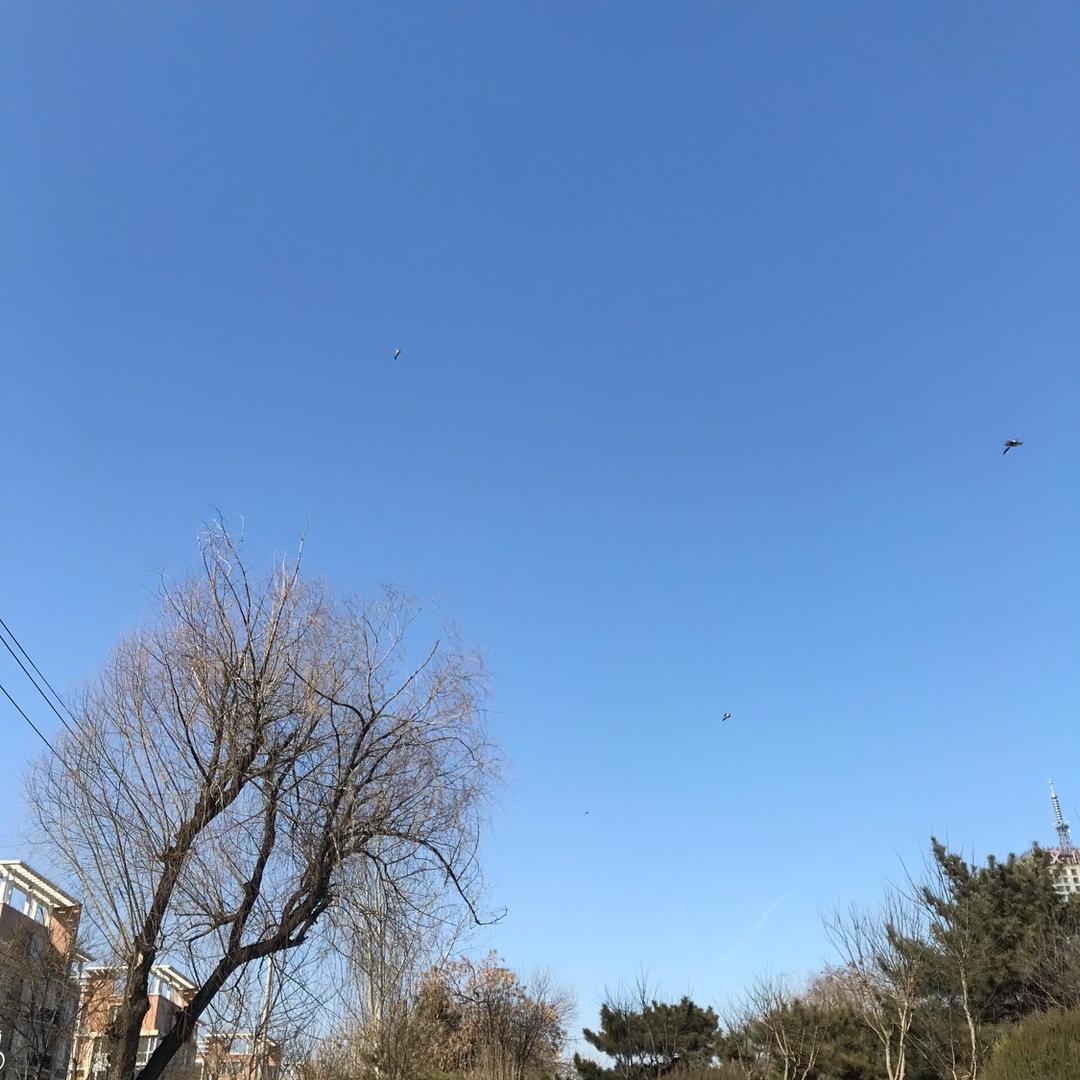 阳光灿烂