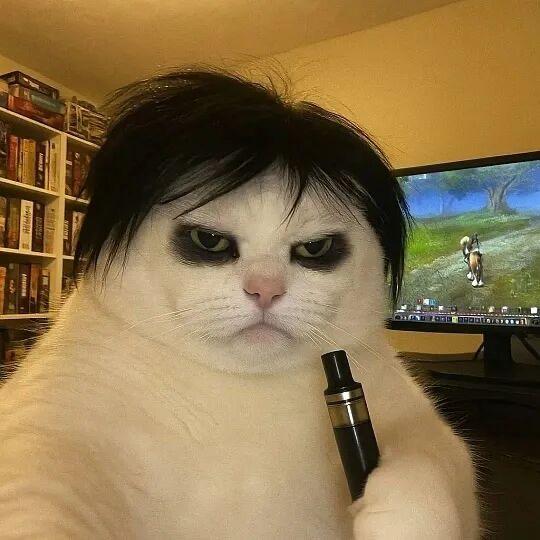 😎😎