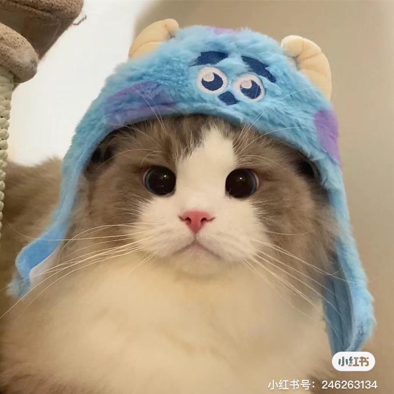 大师的学徒