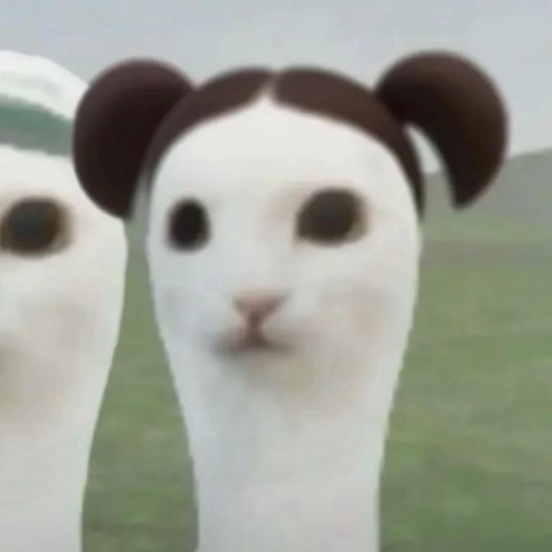 美味脚趾