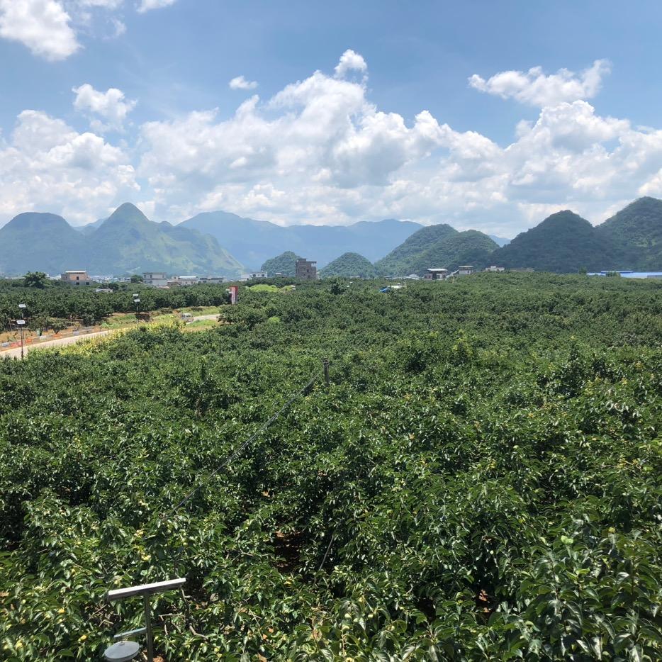 东莞市厚街宸廷皮具加工厂