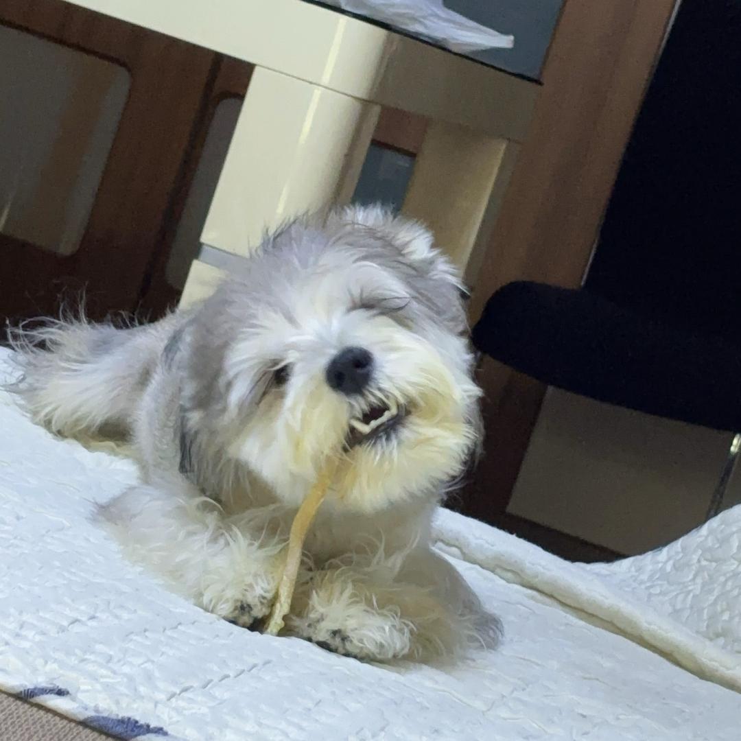 小小蒋