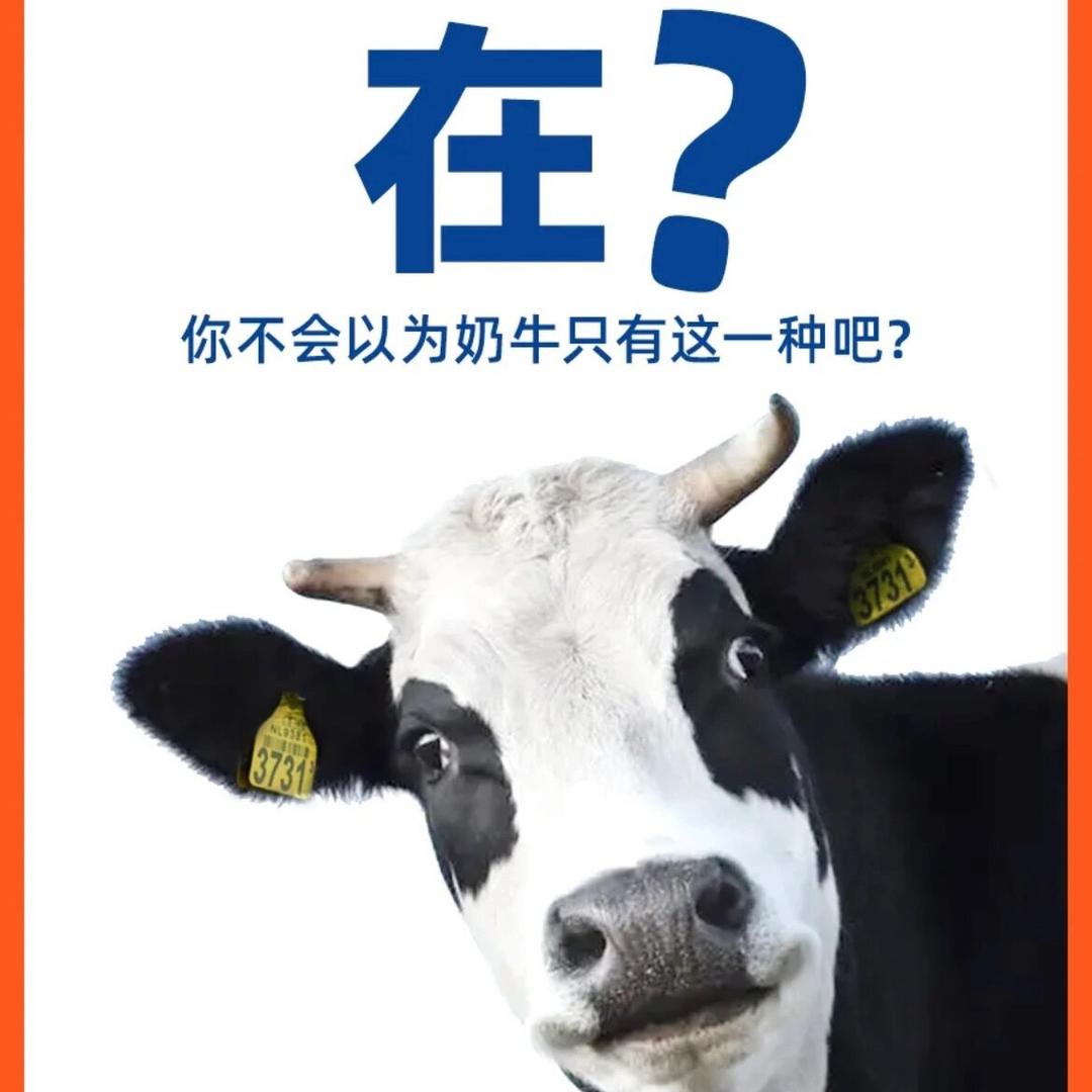 品牌牛奶特惠工厂
