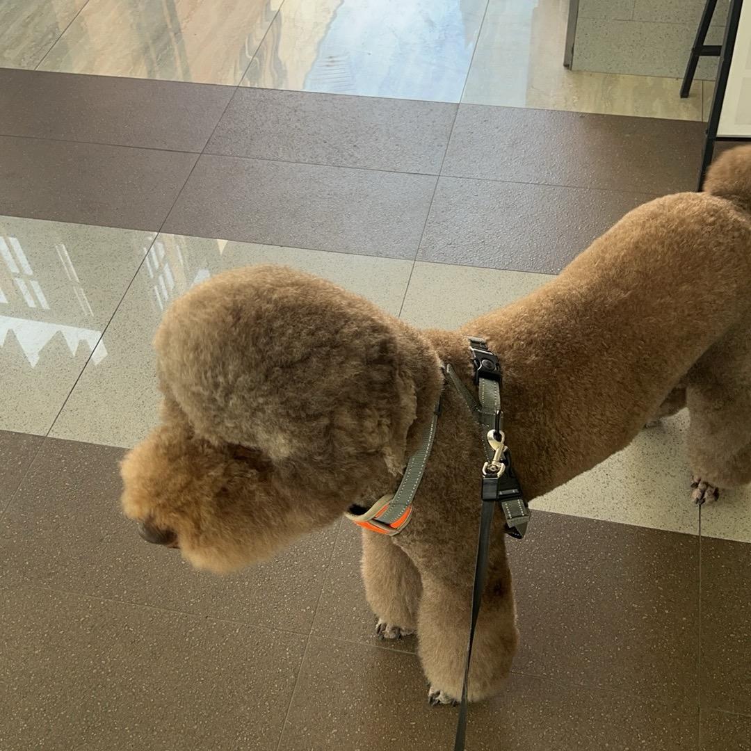 我想说什么来着