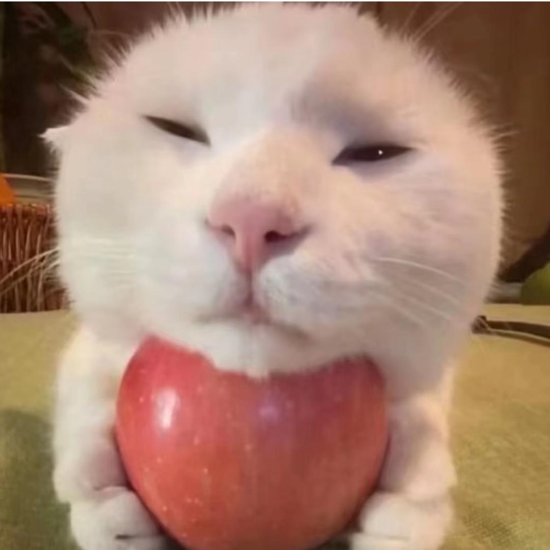 穿白丝的萝莉小蟑