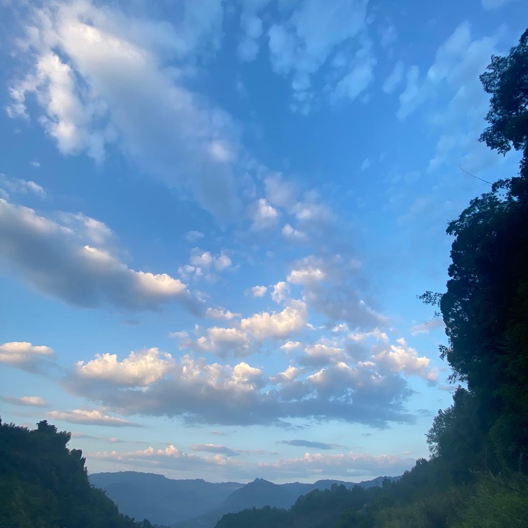 小美。