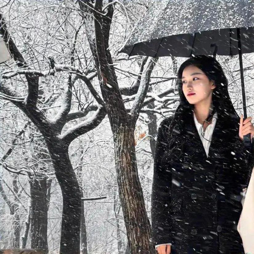 鼎盛传媒（招女团成员）