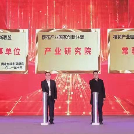樱花产业创新联盟研究院