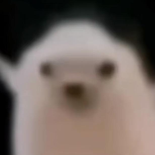 骷髅（兵）🐦‍⬛💩