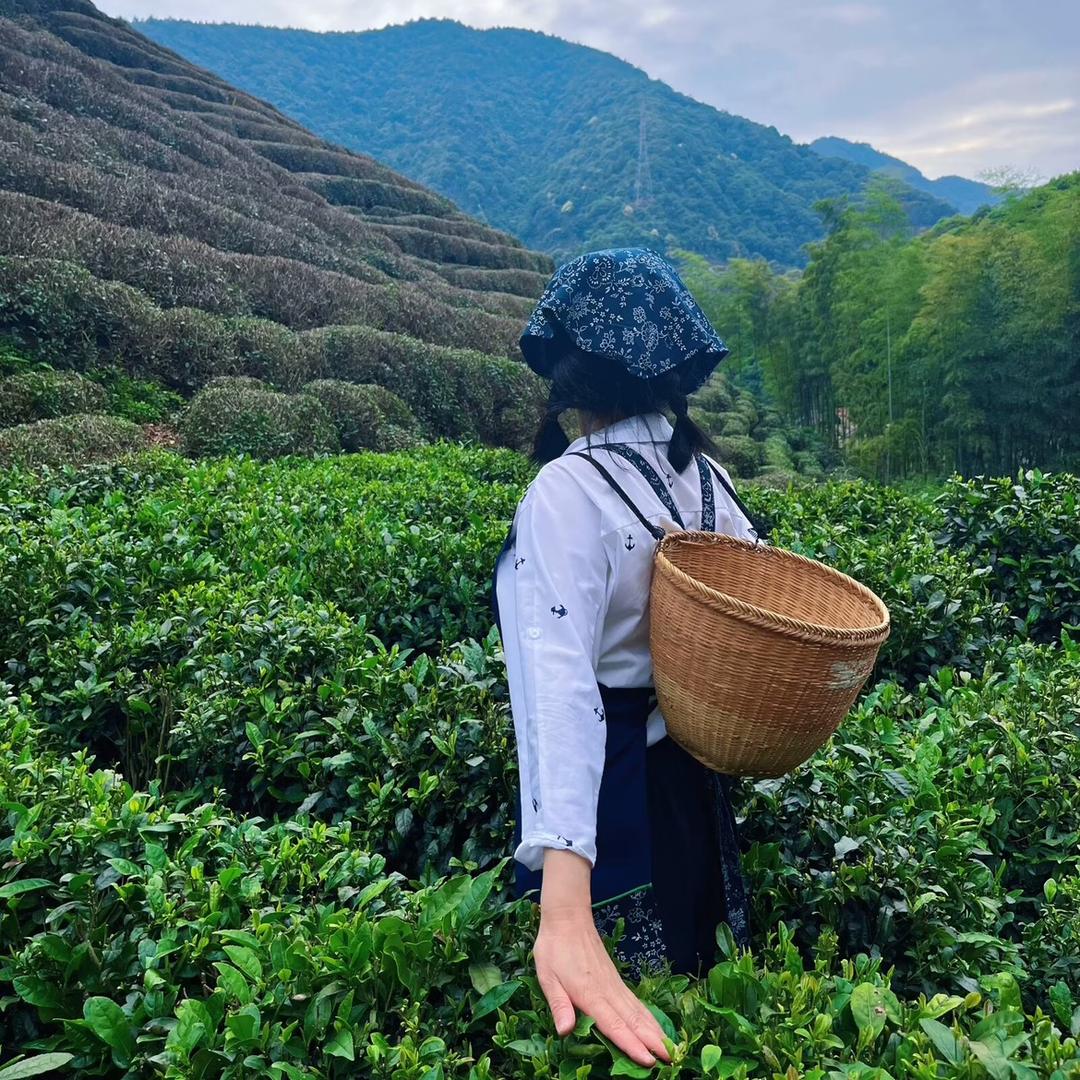 东北老妈在杭州