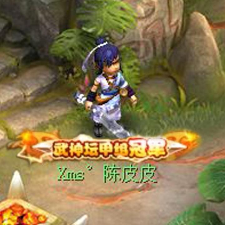 梦幻西游陈皮皮团队（时间锁）