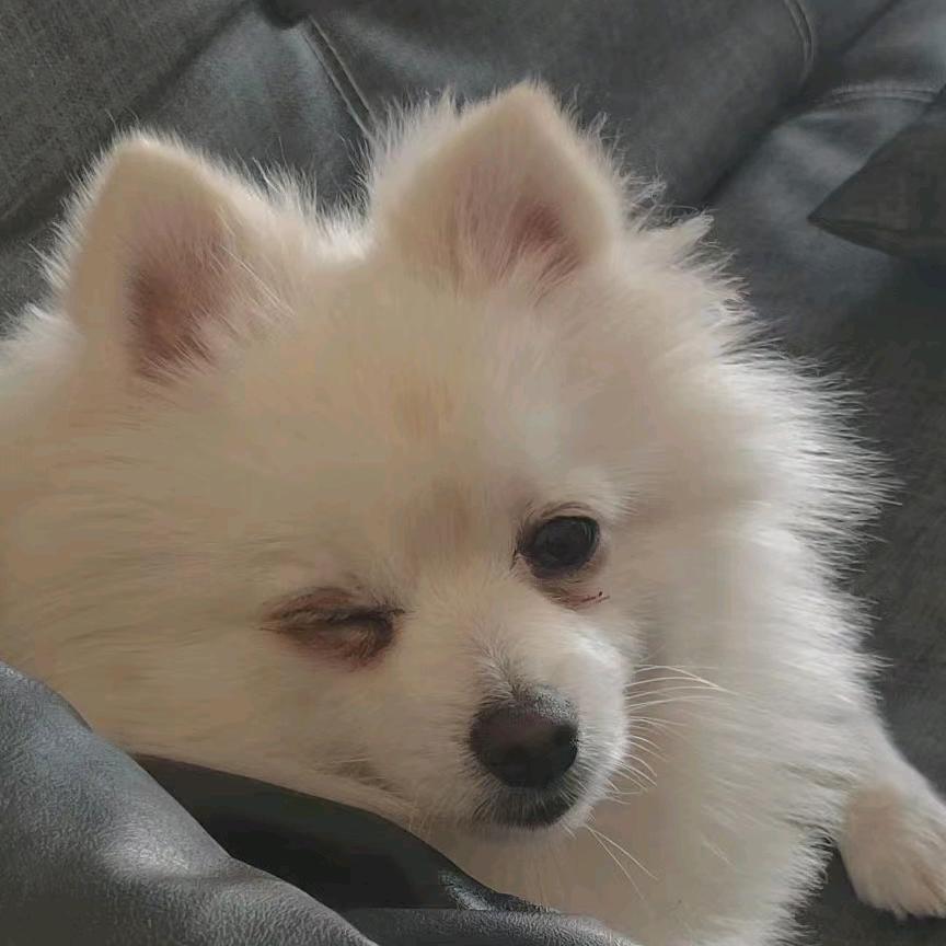 天蝎座的李屁屁i