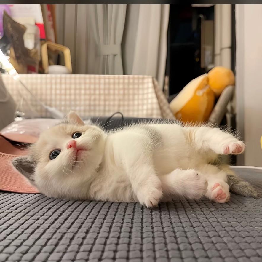 时光专业美发官方号