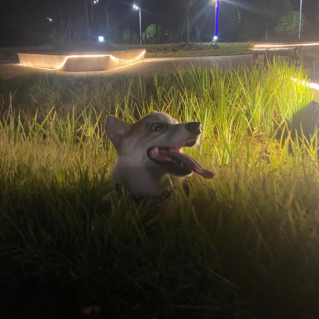 闫爵