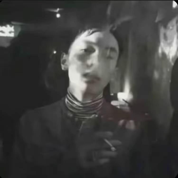 毛   弟🚬