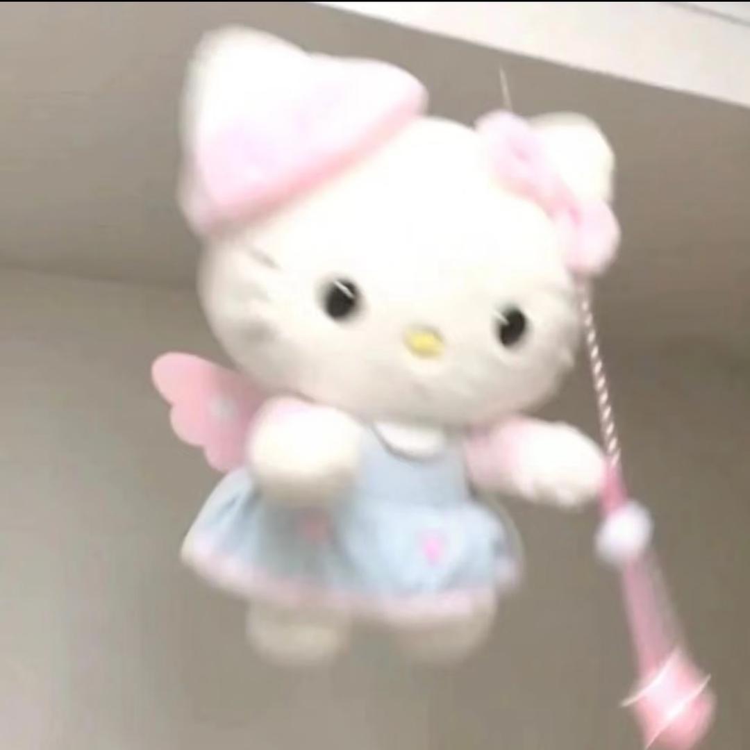 羊迟迟