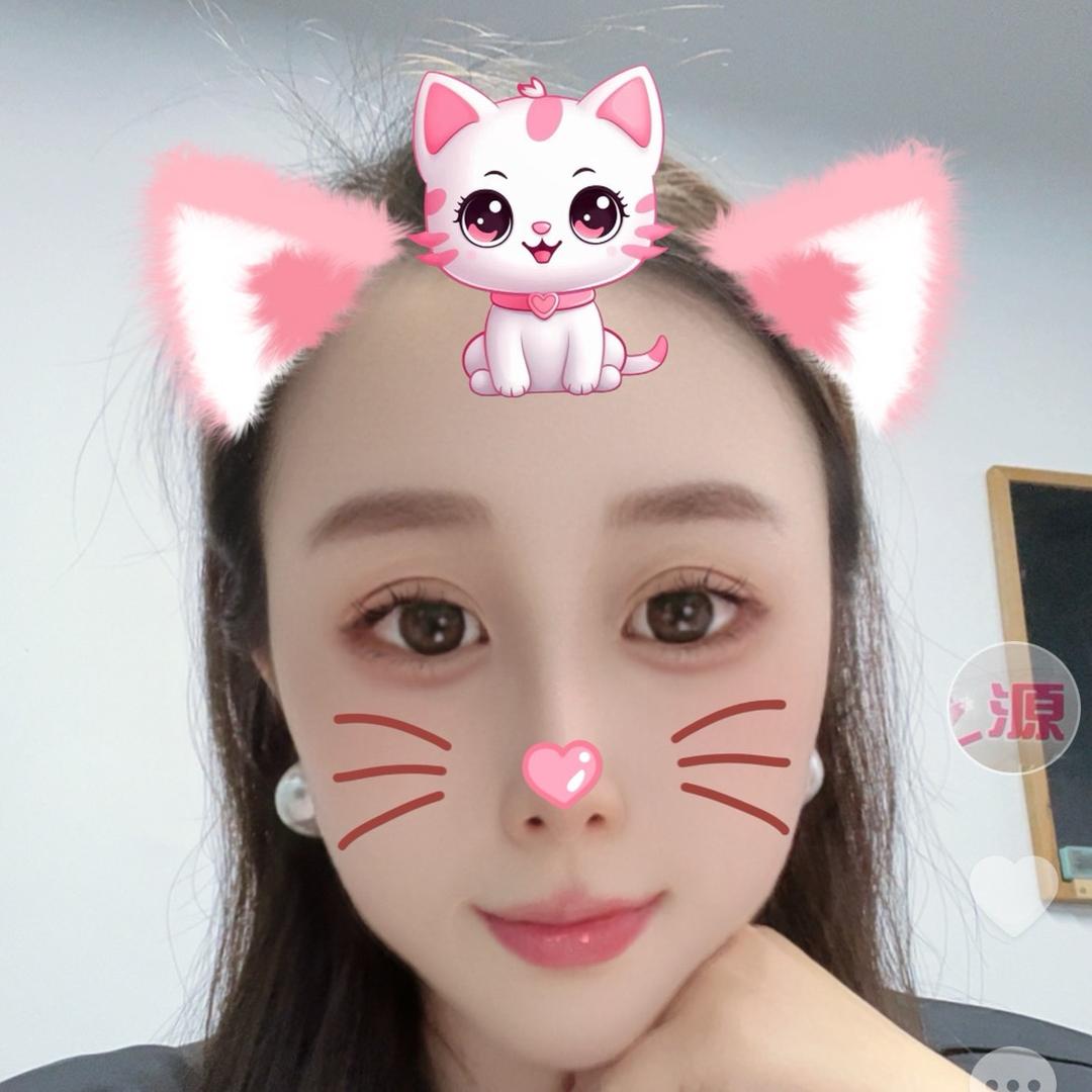 鑫力燕子