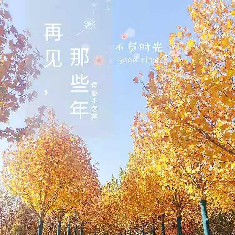 回忆是幸福的延续头像
