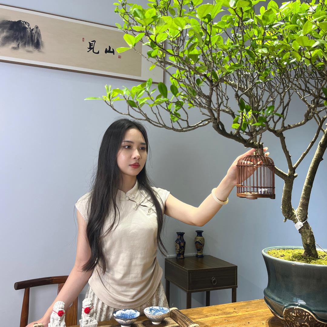 和风园艺