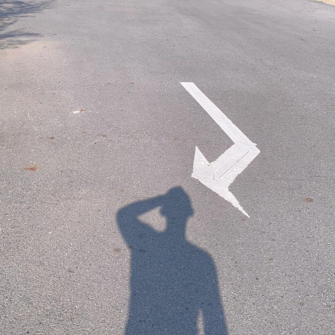 主ོ动脉